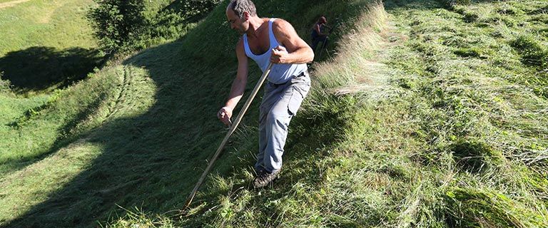 Un parco di nuova  generazione
