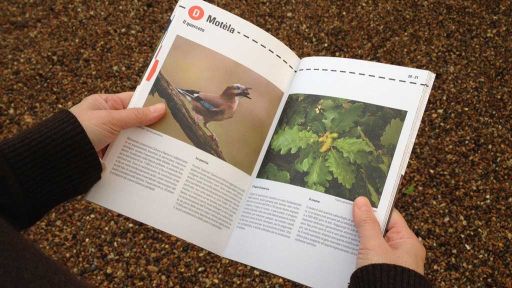 Tra castello e castagni &ndash; Sentiero Cultura e Natura Mesocco/Soazza
