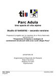 Machbarkeitsstudie