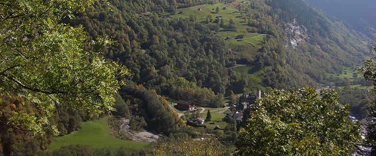Entbuschung einer landwirtschaftlich genutzte Fläche in Cauco 