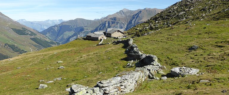 Trockemauern Alp Amperfreila